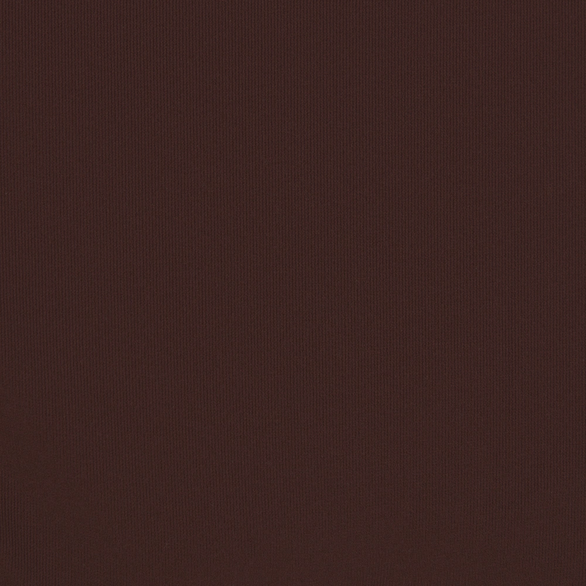 FITS EVERYBODY T-STRING THONG | COCOA